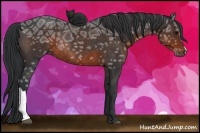 Horse Color:Brown Ice Rabicano