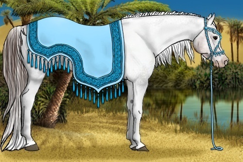 Horse Color:White Spotted Brown Varnish Rabicano 