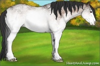 Horse Color:White Spotted Buckskin