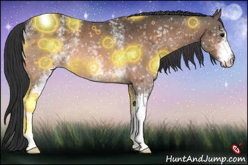 Horse Color:White Spotted Buckskin
