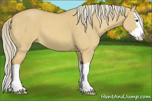 Horse Color:Palomino Dun Splash 