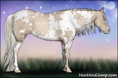 Horse Color:White Spotted Chocolate Palomino Pearl