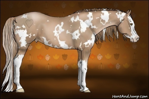 Horse Color:White Spotted Liver Chestnut Pearl Splash 