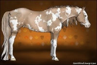 Horse Color:White Spotted Liver Chestnut Pearl Splash