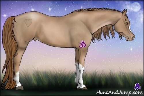 Horse Color:Liver Chestnut Pearl 