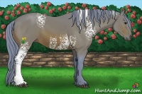 Horse Color:Watercolor White Spotted Bay 