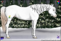 Horse Color:Chestnut Ice Splash Appaloosa 