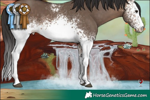 Horse Color:White Spotted Bay Dun Rabicano 