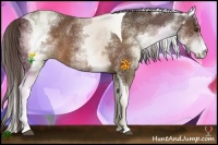 Horse Color:White Spotted Liver Chestnut Tobiano 