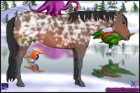 Horse Color:Bay Ice Rabicano 