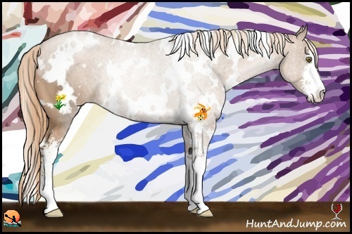 Horse Color:White Spotted Liver Chestnut Pearl Sabino Rabicano