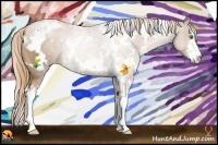 Horse Color:White Spotted Liver Chestnut Pearl Sabino Rabicano