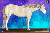 Horse Color:Chocolate Palomino Ice Dun Splash Rabicano