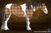 Horse Color:Plaid Bay Splash Tobiano