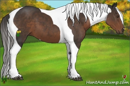 Horse Color:Liver Chestnut Tobiano