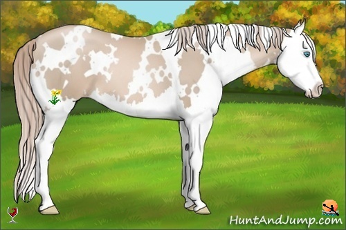 Horse Color:White Spotted Chocolate Palomino Pearl Splash