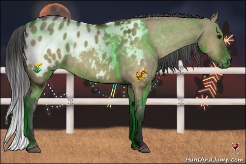 Horse Color:Bay Dun Appaloosa 