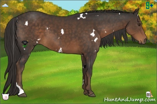 Horse Color:White Spotted Liver Chestnut Tobiano 