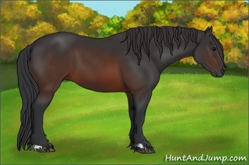 Horse Color:Brown Frame 