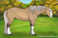 Horse Color:Silver Brown Dun Sabino Splash 