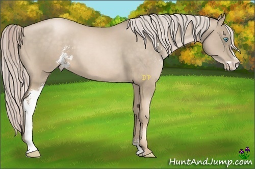 Horse Color:Chocolate Palomino Pearl Sabino Frame 