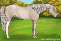Horse Color:Chocolate Palomino Pearl Sabino Frame