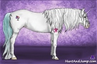 Horse Color:Watercolor Bay Splash Tobiano Appaloosa 