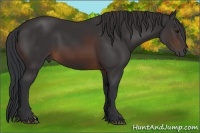 Horse Color:Brown Frame