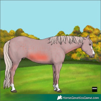 Horse Color:Watercolor Chestnut 