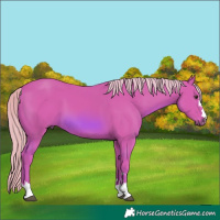 Horse Color:Watercolor Chestnut