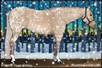 Horse Color:Silver Bay Ice Roan Dun 