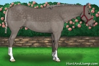 Horse Color:Silver Black 