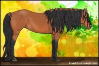 Horse Color:Bay Frame 