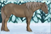 Horse Color:Chocolate Palomino Frame