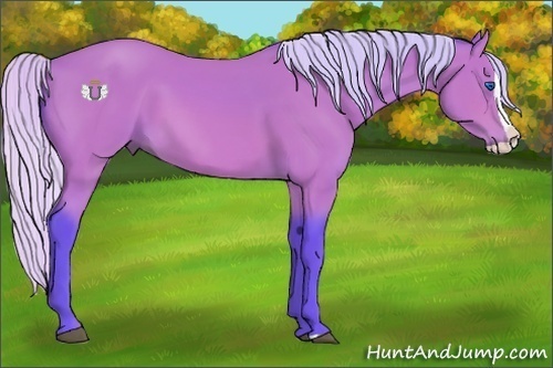 Horse Color:Watercolor Silver Bay Splash 