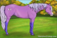 Horse Color:Watercolor Silver Bay Splash