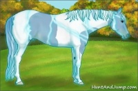 Horse Color:Thunderstruck Watercolor Liver Red Dun Tobiano