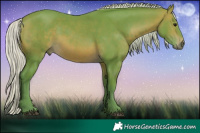 Horse Color:Watercolor Silver Brown 