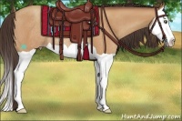 Horse Color:Amber Champagne Splash Rabicano 