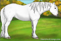 Horse Color:Gray Brown Roan Splash Frame