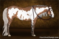 Horse Color:White Spotted Silver Bay Frame