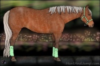 Horse Color:Silver Brown  Brindle