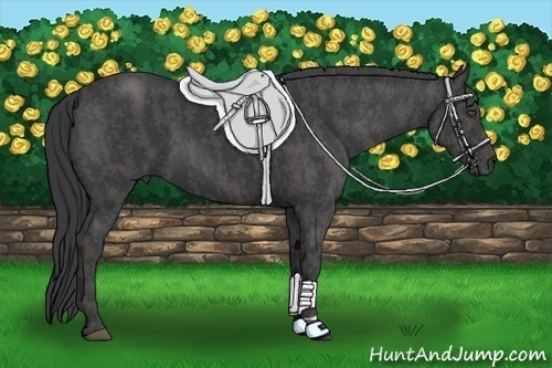 Horse Color:Black Brindle
