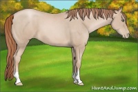 Horse Color:Smoky Black Pearl  Brindle