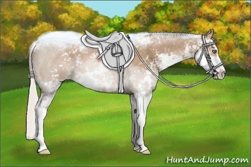 Horse Color:Silver Black Pearl Sabino  Brindle
