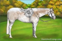 Horse Color:Silver Black Pearl Sabino Brindle