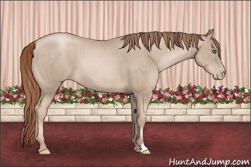 Horse Color:Smoky Black Pearl  Brindle