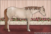 Horse Color:Smoky Black Pearl  Brindle