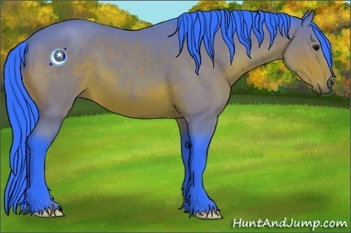 Horse Color:Watercolor Bay 