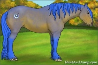 Horse Color:Watercolor Bay 